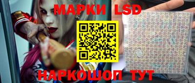 стаф Малгобек